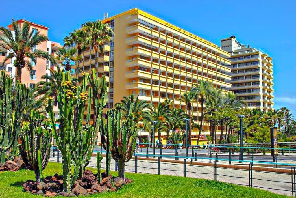 Acogedor Estudio En Martianez Puerto de la Cruz  Exterior foto